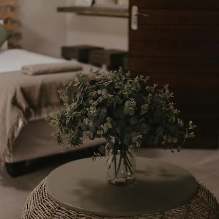 Villa Rose Guesthouse & Venue ブルームフォンテーン エクステリア 写真