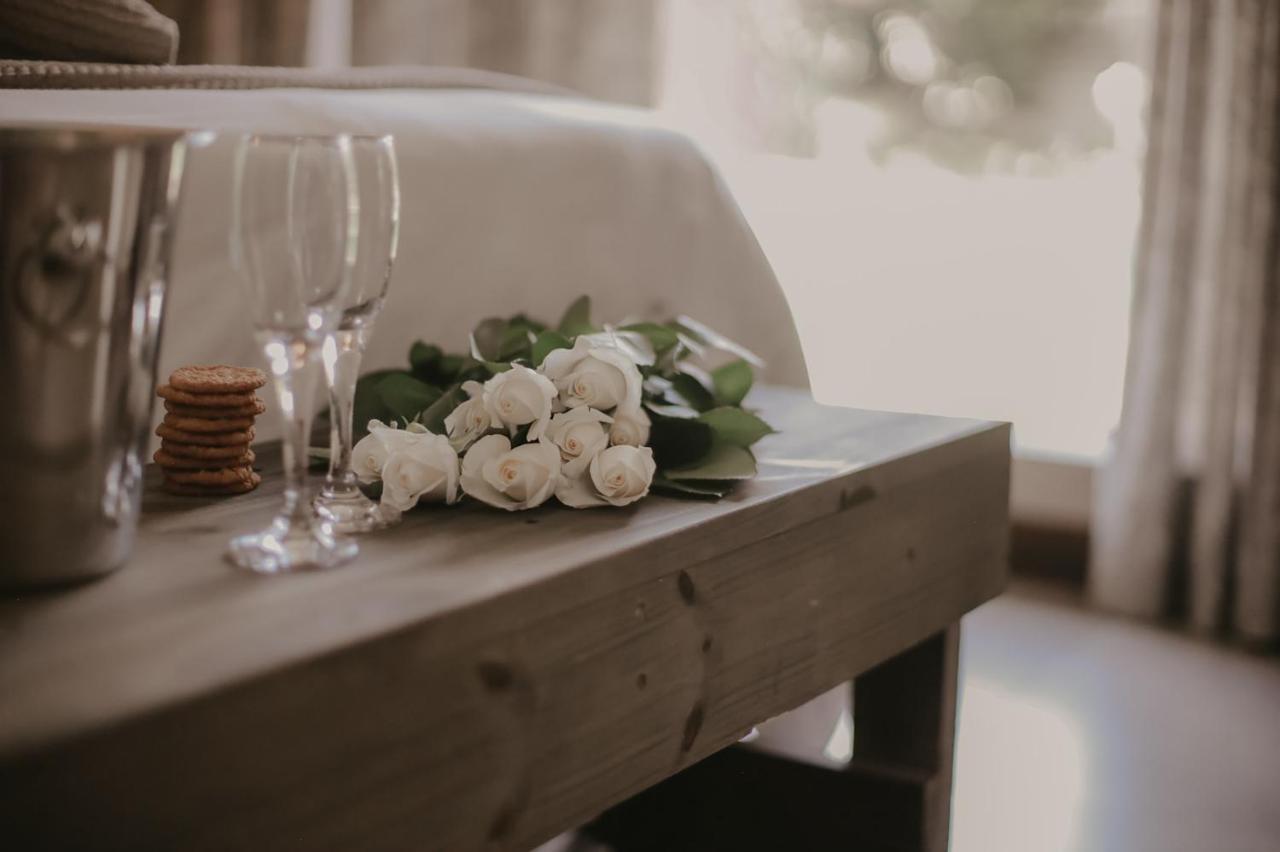 Villa Rose Guesthouse & Venue ブルームフォンテーン エクステリア 写真